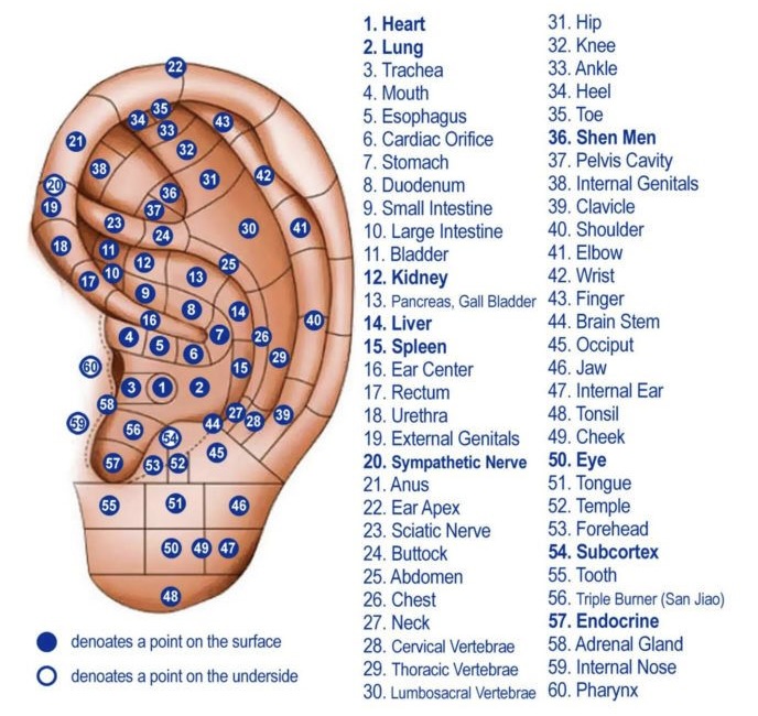 Battlefield Acupuncture & Ear Seeding